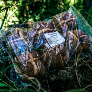 Nutri Hotcross Buns