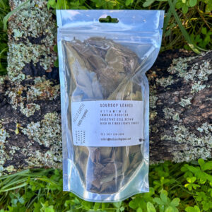 Soursop Leaves